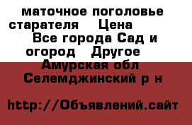 маточное поголовье старателя  › Цена ­ 3 700 - Все города Сад и огород » Другое   . Амурская обл.,Селемджинский р-н